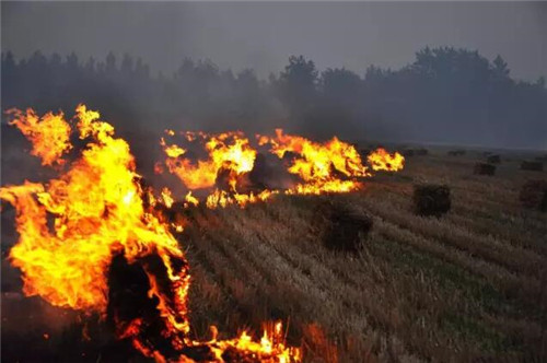焚燒秸稈的危害 焚燒秸稈的危害