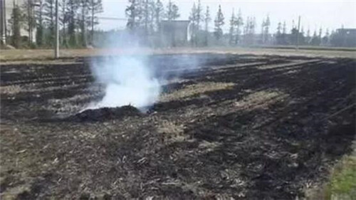 焚燒秸稈的危害 焚燒秸稈的危害