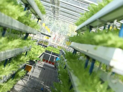 智慧農業物聯網 智慧農業物聯網