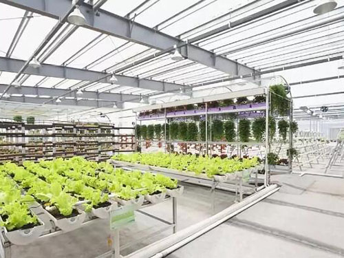 智慧農業物聯網 智慧農業物聯網