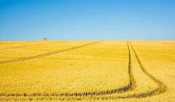 秸稈禁燒監控系統 秸稈禁燒監控系統